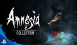 Amnesia collection - Teszt